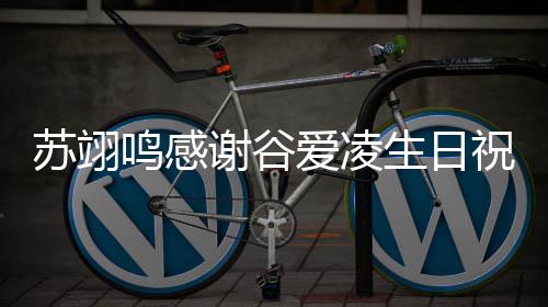 苏翊生日贵鸣感祝福这谢谷爱凌谊非常珍份友